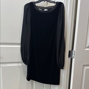 WHBM Velvet Dress